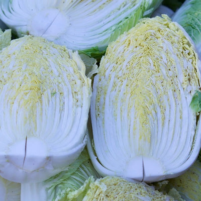 白菜（１株）